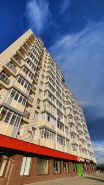 Apartment Fly Altay