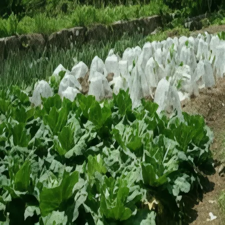 Minshuku Amagibeniya