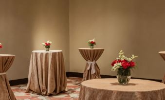 Hilton Garden Inn El Paso / University