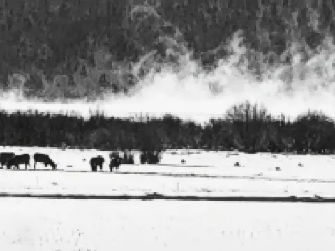 Iron Wolf nestled in the Sangre de Cristo Mtns...Ski/Hike/Fish/Hunt Casita Hotels in Eagle Nest