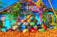 Cozy Home Fenced in Yard, Near Dwntwn&Beaches