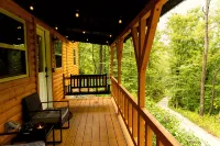 Peaceful Cabin in the Forest with Hot Tub & Views - Hill Haven