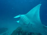 Rasdhoo Stay