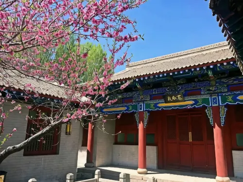 Jiayuguan Taihe Villa Guesthouse - Apartments