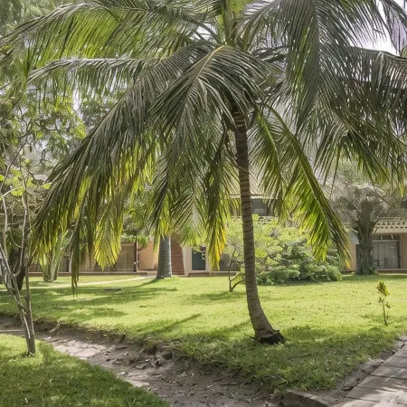 Senegambia Beach Hotel