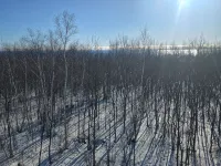 Lake Superior Log Home Retreat - 샬레 호텔