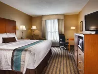 Best Western Plus Seawall Inn  Suites by the Beach Hotels near Rosenberg Library