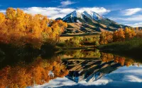 Cozy, Rustic Cabins near Chico Hot Springs & only 35 mins to YELLOWSTONE PARK!! - Alphydda