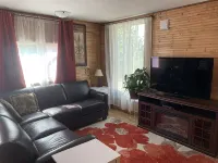 Northern Flare cabin with mountain view 5 min from Nordic Eclipse - Homestay