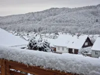 Comfortable holiday apartment Starennest with direct view of the Harz Mountains - homestay