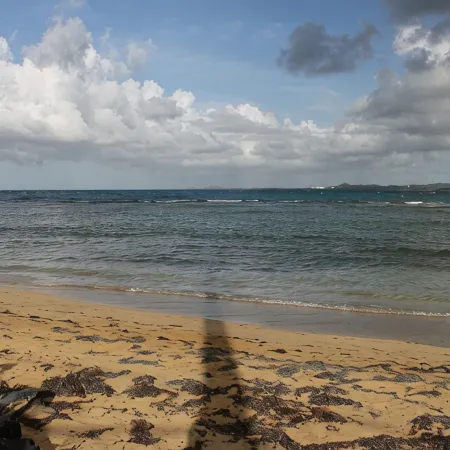 Sun, Beach, Nature and Peace.
