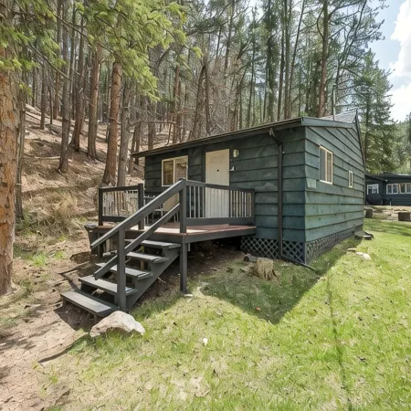The Miner's Cabin