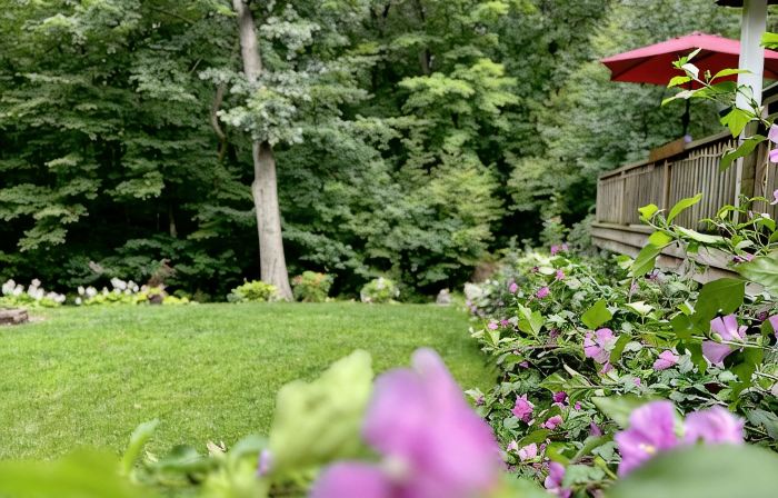 Hot Tub, Couples Hideaway, Private, Gazebo, Serene,  Country, Birds,  Wildlife