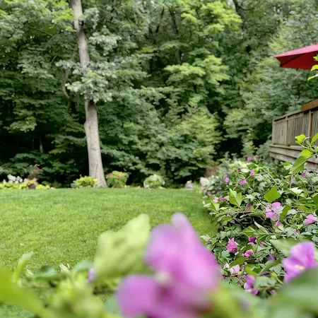Hot Tub, Couples Hideaway, Private, Gazebo, Serene, Country, Birds, Wildlife