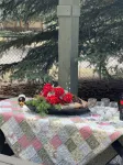 The Pinecone Cabin. Twenty minutes from Wolf Creek Pass. - 무료 와이파이