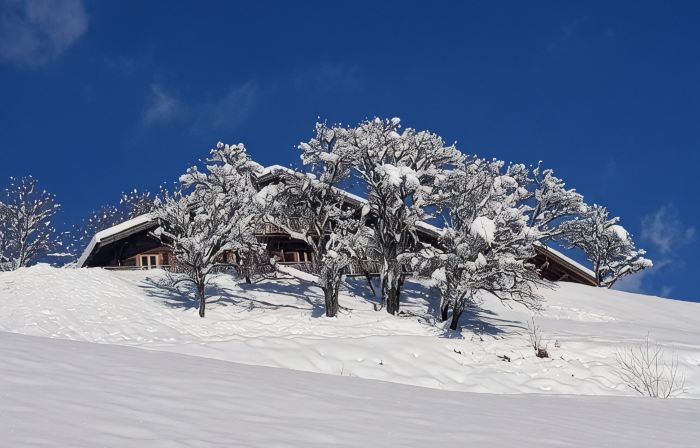 A Rare Nugget in the Mountains - Chalet with Authentic Charm - Spa - Unique Atmosphere