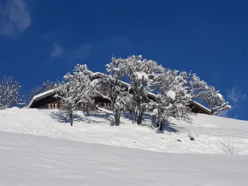 A Rare Nugget in the Mountains - Chalet with Authentic Charm - Spa - Unique Atmosphere - Wifi