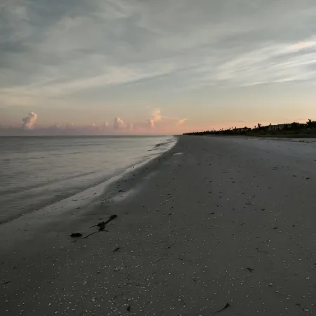 Walk to the Beach. Well Stocked! Serenity and Shelling Oasis.