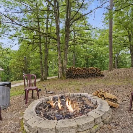 Bluebird Cottage - Hot Tub - Pool - Coffee - Fire Pit - less than 1 mile to SDC!