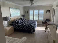 Ocean view oasis