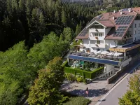 Hotel Erica Hotels in Tesero