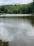 Cozy, Quiet Home on Lake Malone with private dock - 3-Star