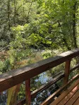 ‘Volcano Country’ Creek side Cottage in Doty - Hytter