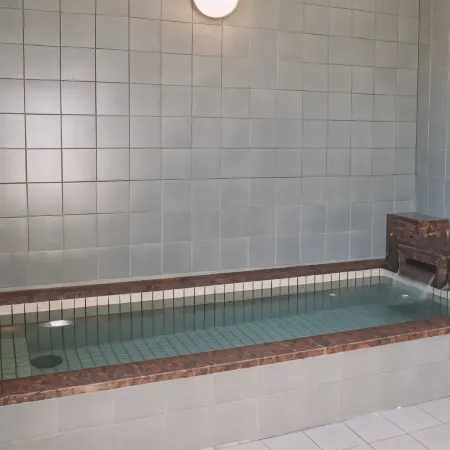 Echigoyuzawa Onsen Hotel Aster