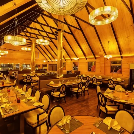 Aveda Suites at Aamby Valley City