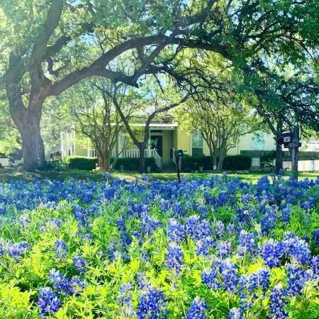 Historic 1904 Home w/Granite Kitchen, Fireplace, Treehouse! Near ATX/San Antonio Отели в г. Кайл