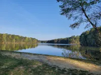 Tranquil Cary Hideaway- Mins to Downtown/Wake Med/NC State ...Newly Furnished! - Homestays