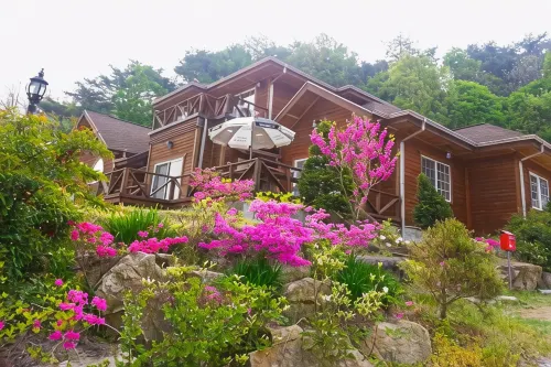 Yeongju Happy Pension - Homestays