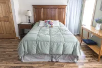 Newly remodeled, private, sunny downtown apartment; near restaurants & shopping.