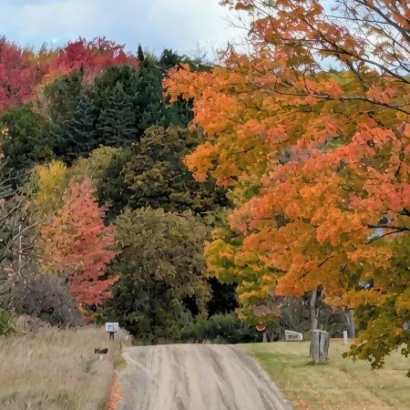 Enjoy the natural splendor and outdoor thrills in the quaint town of Lupton, MI.