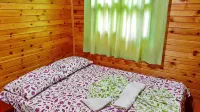 Olympos Tatilya Pansiyon