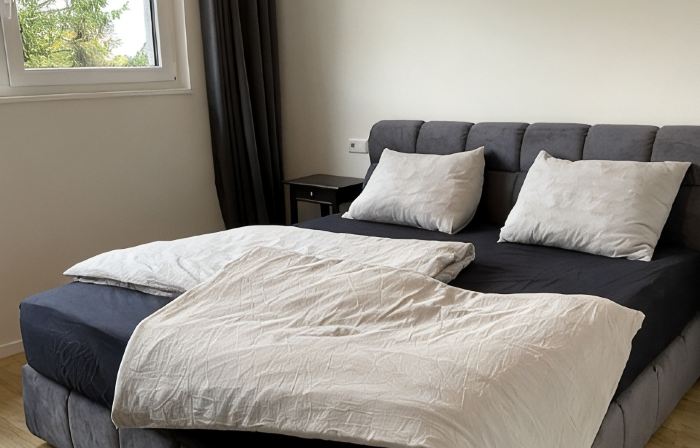 Modern living in the middle of the Eifel National Park, 10 minutes from the lake