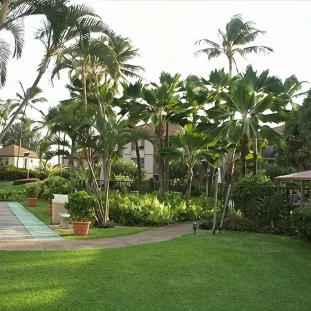 PERFECT KAUAI Condo!! Steps from Beach/2bd2bth Washer/Dryer AC -Free Parking