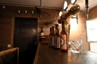 Kosta Lodge - Bares
