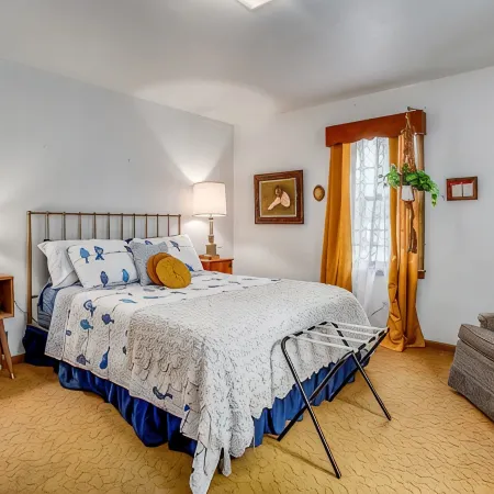 Huge 1960s Style Family and Pet Friendly Home