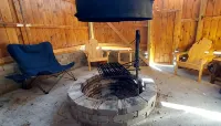 Tiny Cabin in Huron National Forest! - 3 étoiles