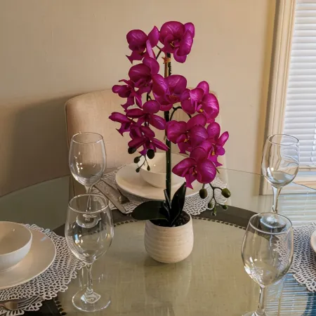Charming 3-bedroom house in Pleasant Oak Grove with AC, WiFi