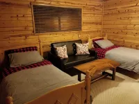 Cedar Pines Cabin w/ Fire Pit & Large Deck - BIG Trees - A Quaint Rustic Charmer - Wifi