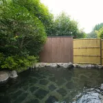 Hotel Ryusenkaku - Hot Springs