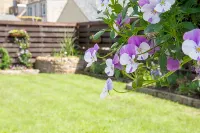 Nithsdale Hotel - 2-Star