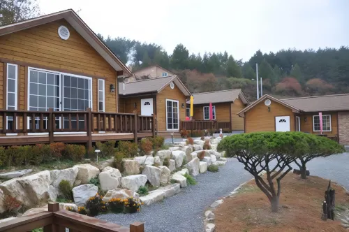 Oraview Pension