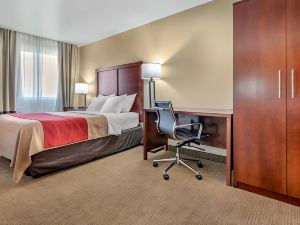 Comfort Inn Fremont