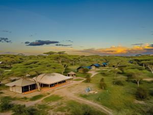 Angata Migration Camp