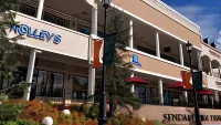 Hotel Premium Green Sovereign Отели в г. район Идзуми