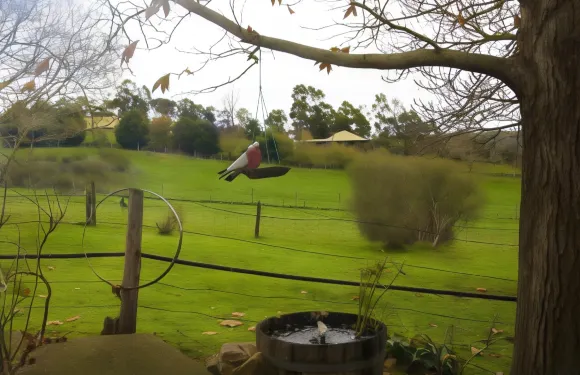 漢道夫溜花蹄B&B酒店
