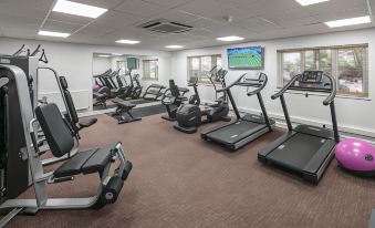 a gym with various exercise equipment , including treadmills and stationary bikes , arranged in a spacious room with large windows at Aubrey Park Hotel